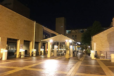 IMG_5626.jpg